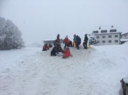 Img 1318