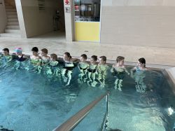 Img 1688