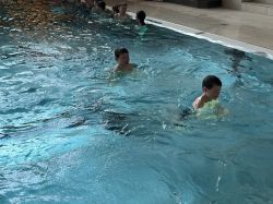 Img 1713
