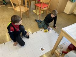 Img 3806