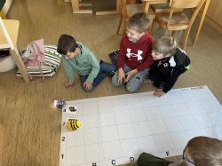Img 3815