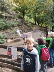 Img 20221011 121412