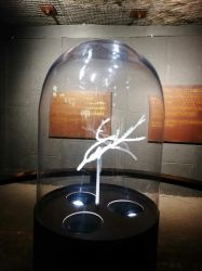 Img 20221011 Wa0003