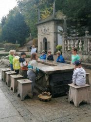 Img 20221011 Wa0009