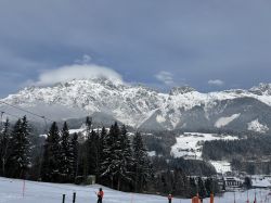 Img 3747