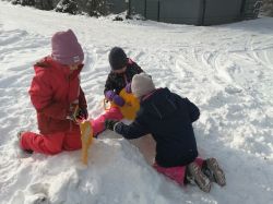 Img 20230123 120551