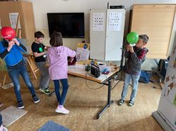 Img 8808