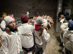 Img 4003