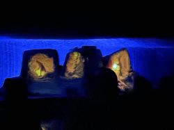 Img 4009