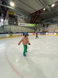 Img 5587