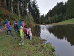 Img 20240411 Wa0017