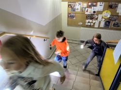 Img 6270