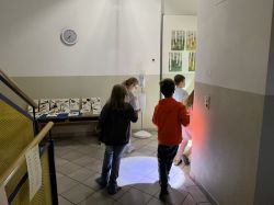 Img 6271