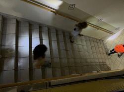 Img 6275