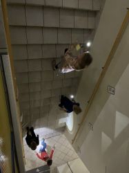 Img 6276