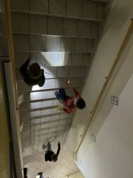 Img 6277