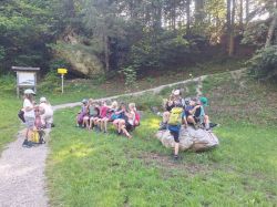 Img 20250618 Wa0006