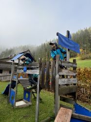 Img 7685