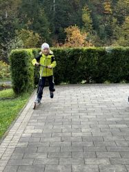 Img 7691