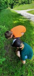 Img 20250605 Wa0007