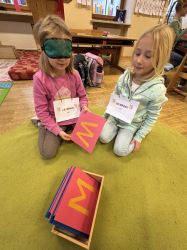 Img 8668