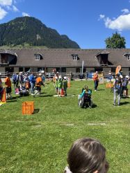 Img 9482