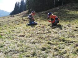Img 20200321 Wa0004 002 2