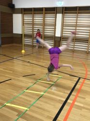 Img 4527