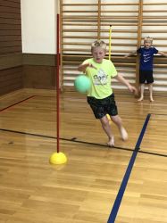 Img 4531