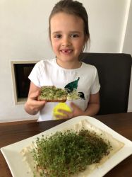 Img 20200409 Wa0010