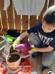 Img 20200430 Wa0012