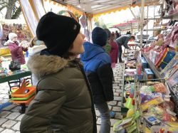 Img 4583