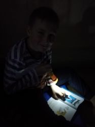 Img 20191101 Wa0104