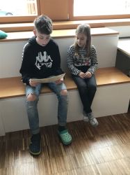 Img 4733