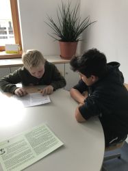 Img 4755