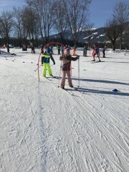 Img 4995
