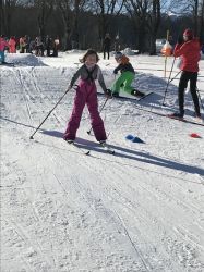 Img 4996