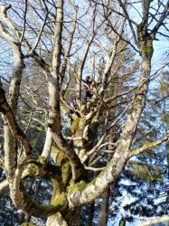 Img 20200417 Wa0007