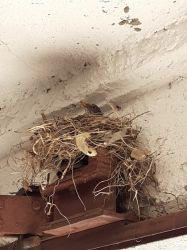 Img 20200507 Wa0003