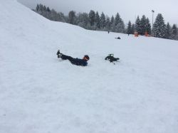 Img 7662