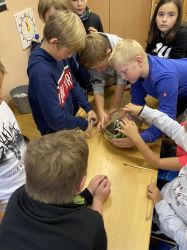 Img 7286