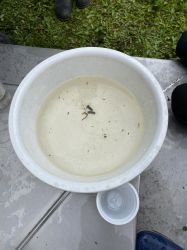 Img 7306